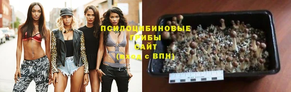 гашиш Арсеньев