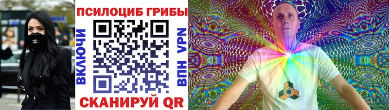 Псилоцибиновые грибы ЛСД Салехард