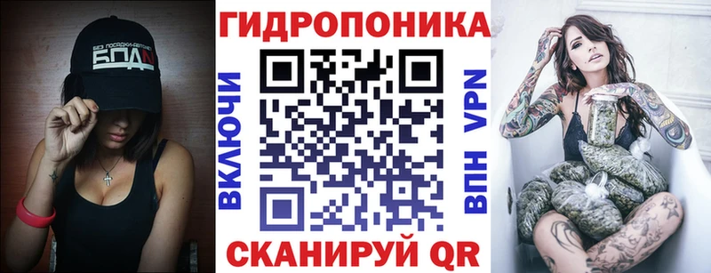darknet состав  Салехард  Каннабис ГИДРОПОН  закладка 